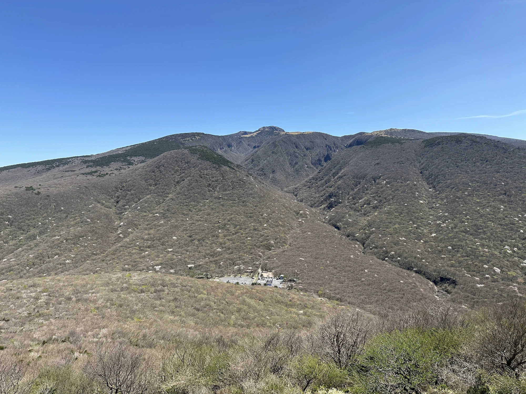 Hallasan ridges and forested slopes beneath a clear blue sky, viewed east from Eoseungsaengak summit on Jeju